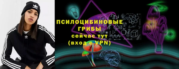 скорость Богданович