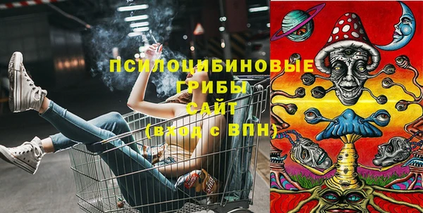 дурь Богородск